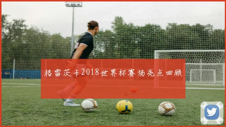 格雷茨卡2018世界杯赛场亮点回顾