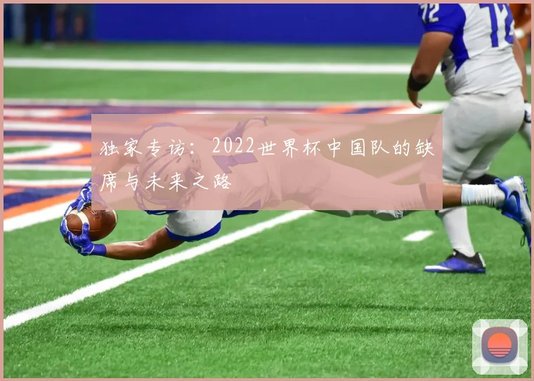 独家专访:2022世界杯中国队的缺席与未来之路