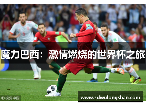 魔力巴西：激情燃烧的世界杯之旅